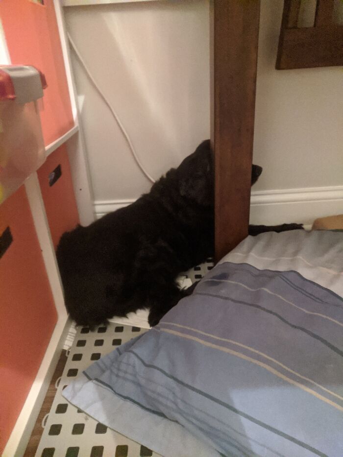 Poor Lil Guy. Forgot That He Could Back Up, And Instead Thought He Was Trapped. I Rescued Him.