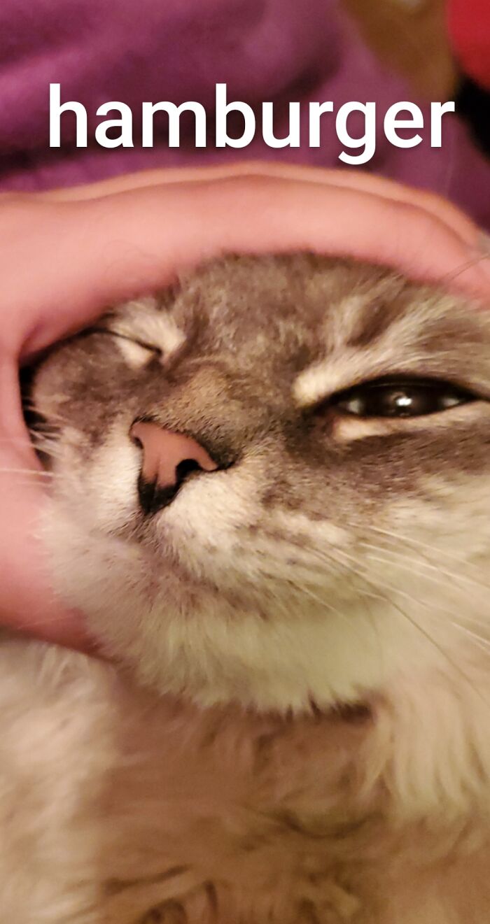 For Some Reason She Really Likes This