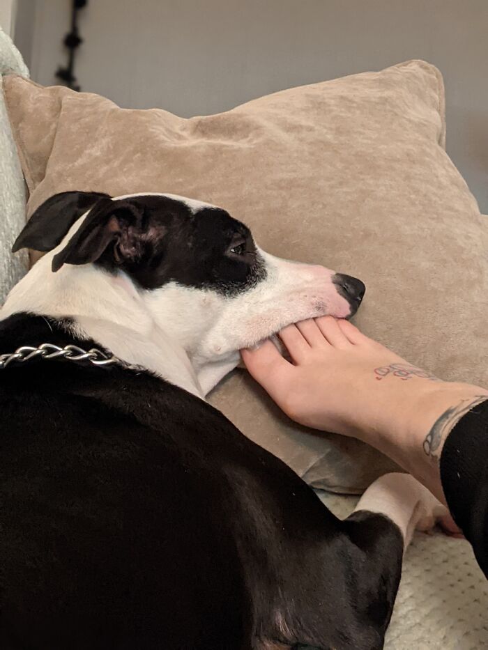 Shes Comfy Like This.