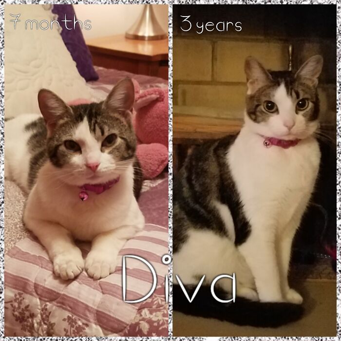 This Was All My Husband's Doing, And Yes, She Poses!