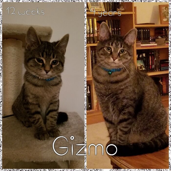 Best Christmas Present Ever!