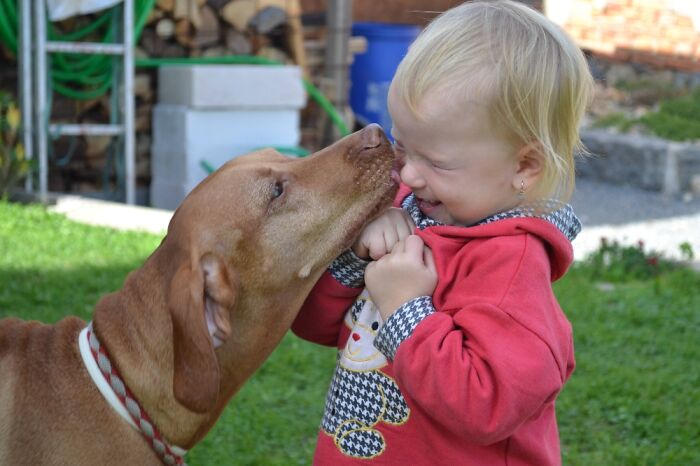 My Niece And My Viszla Named Jackie