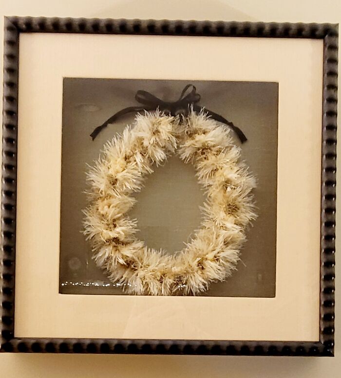 Haku Lei I Knitted (Yarn And Ribbon), They Framed In A Shadow Box.