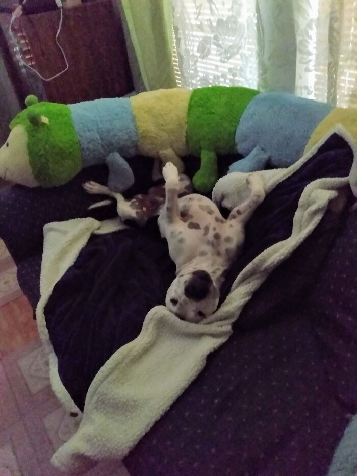 Why... Hello There.... How You Doing...