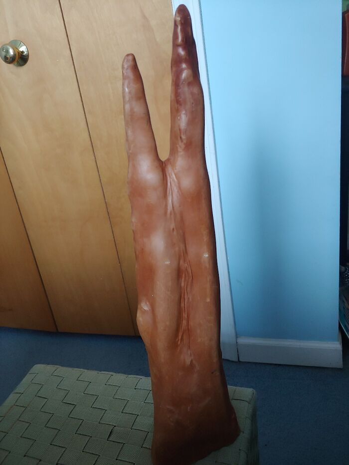 Cypress Knee From Suwannee River