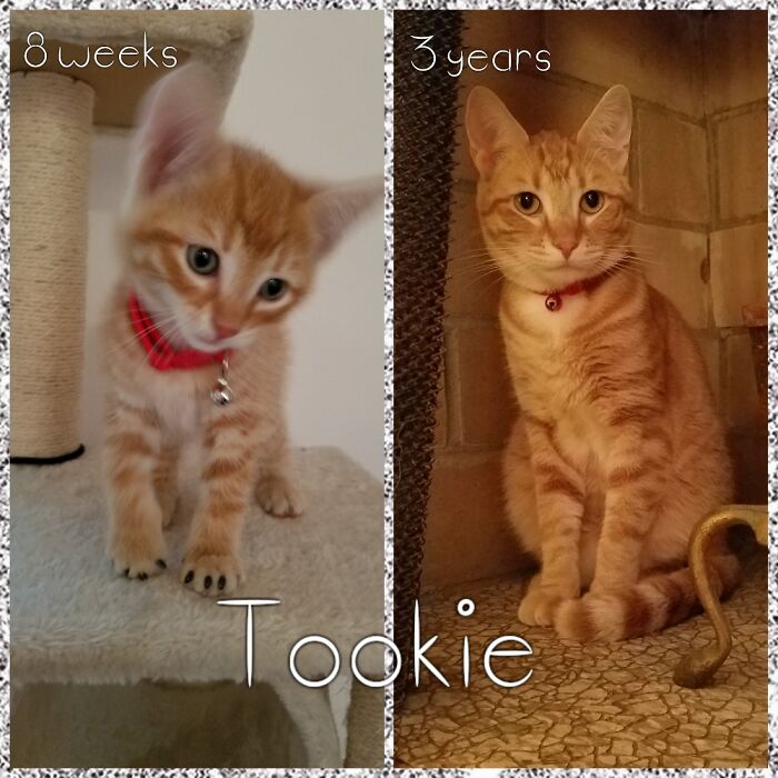 My Little Protector... He Thinks I'm Mama