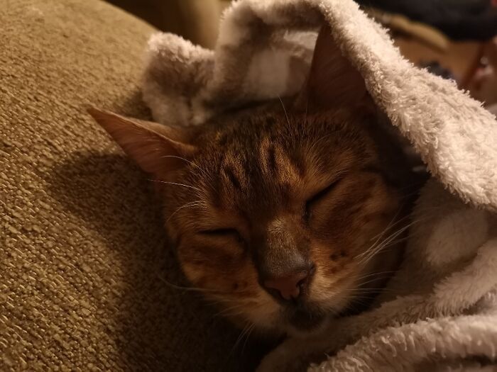 Sleeping Off An Anaesthetic