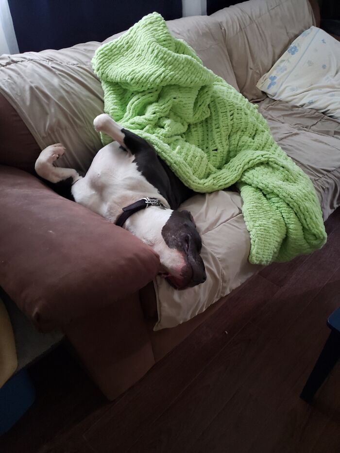 That's What He Calls Comfortable.