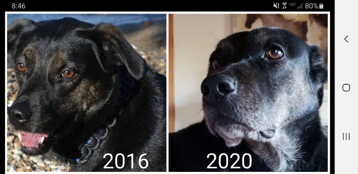 Time Flies For Him So Much Faster Than For Me.