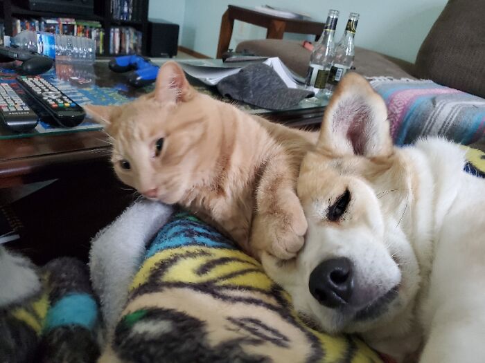 Bonus Double-Derp With Sleepy Gary And Ronnie James Dio