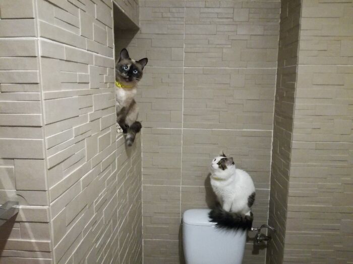 'romeo And Juliette'