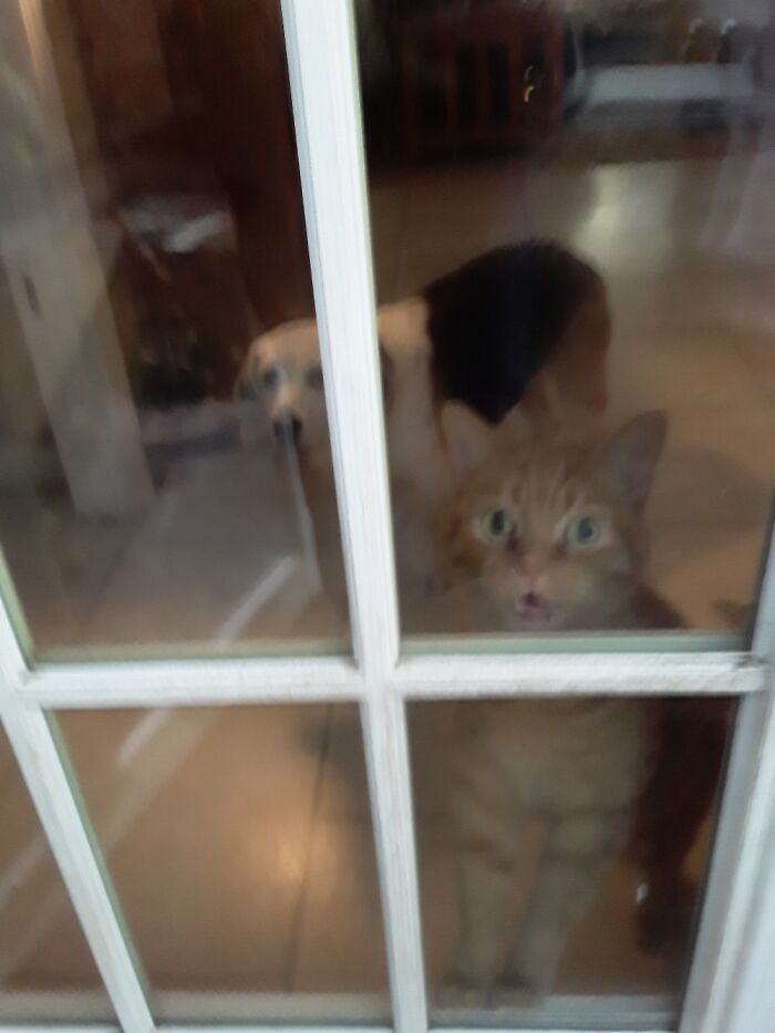 The "We Want Out" Spokesperson And His Crew.