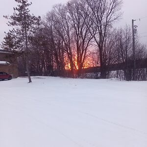 dorothyanstice avatar