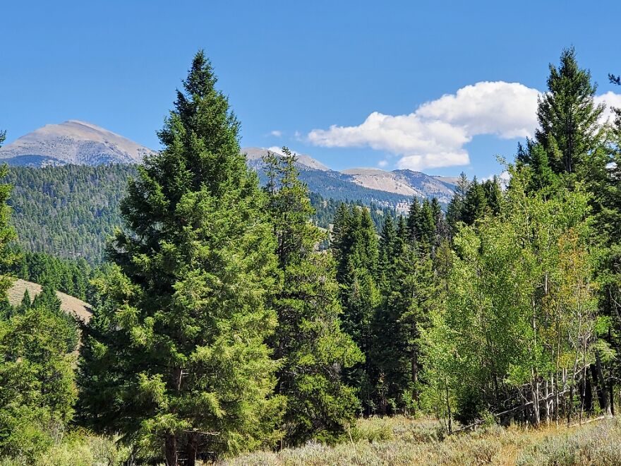 Salmon-Challis National Forest (Idaho, USA) - My Favorite Area To Hike And Camp