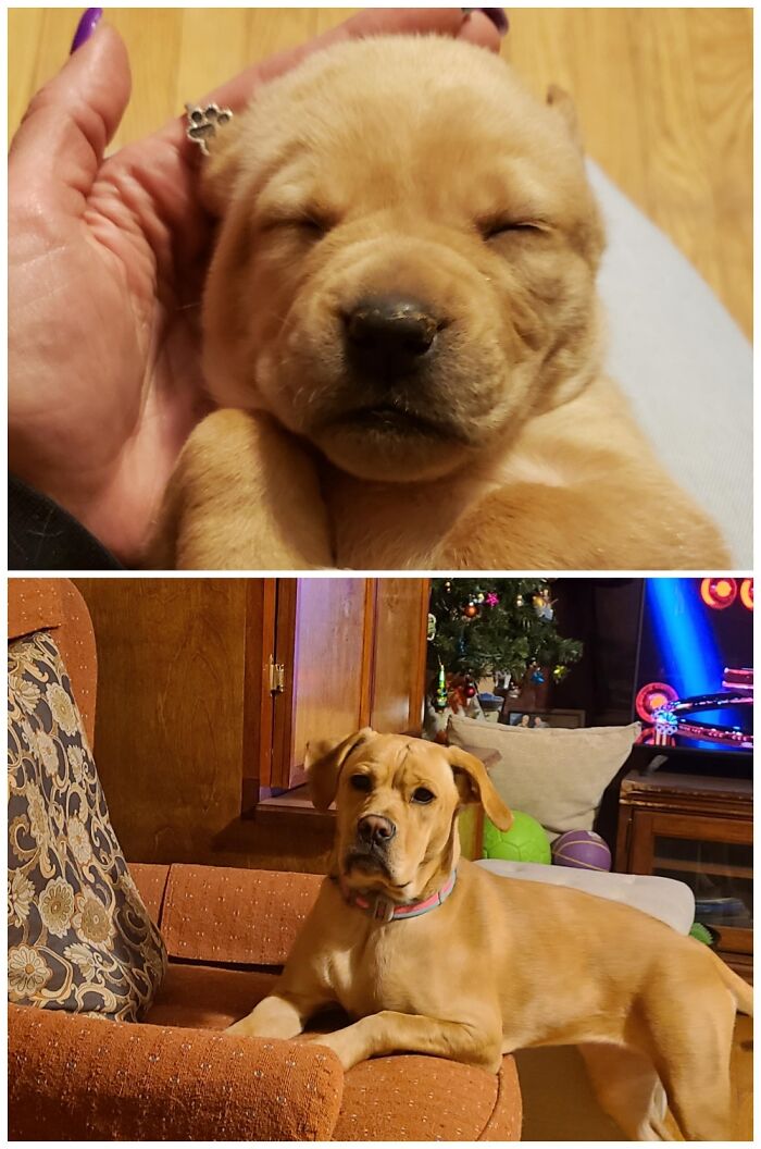 Olive~ Then January 2020 And Now January 2021