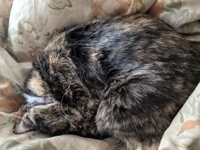 She Is The Best Cuddler