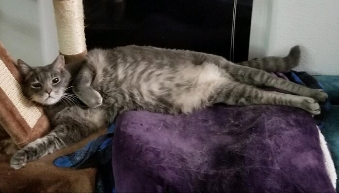 It's Been One Of Those Days!