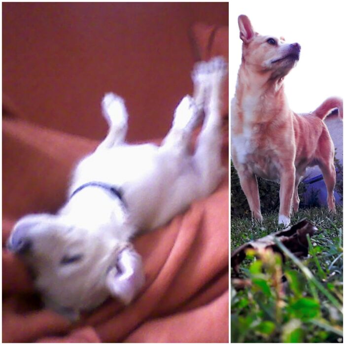 Jackie Was 11 In January