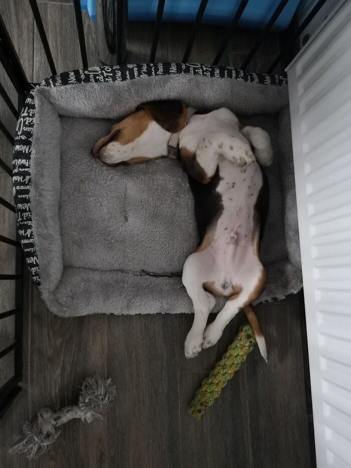 No Worries, Just Chill