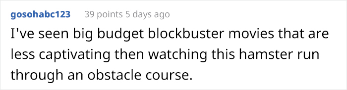 Person Shows Their Hamster Escaping A Prison In Amazing Obstacle Course Video, Captures The Hearts Of 55 Million People