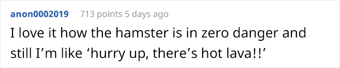 Person Shows Their Hamster Escaping A Prison In Amazing Obstacle Course Video, Captures The Hearts Of 55 Million People