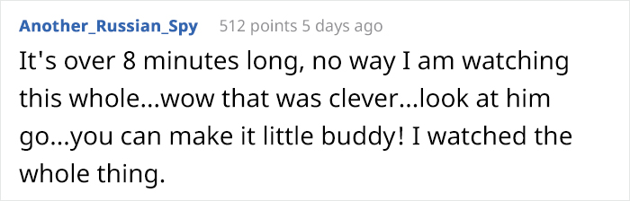 Person Shows Their Hamster Escaping A Prison In Amazing Obstacle Course Video, Captures The Hearts Of 55 Million People