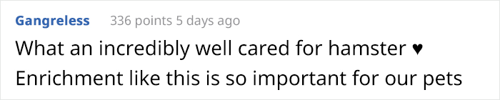 Person Shows Their Hamster Escaping A Prison In Amazing Obstacle Course Video, Captures The Hearts Of 55 Million People Person Shows Their Hamster Escaping A Prison In Amazing Obstacle Course Video, Captures The Hearts Of 55 Million People