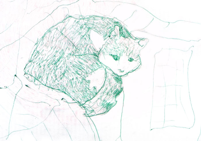 Pandas, Draw Your Pet With Your Non-Dominant Hand And Post A Picture Of The Drawing And Your Pet (Closed)