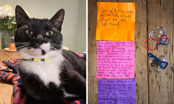 Cat Brings Its Parents A Note From The Neighbors He Visits, They Become Pen Pals With The Cat As Their Postman