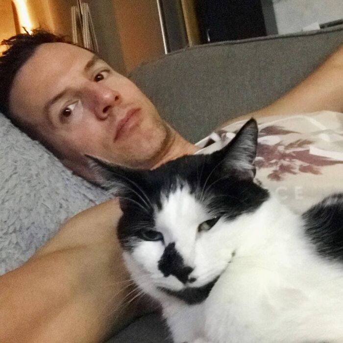 Cat Owner Leaves A Cam To See How His Cats Act When He's Not Home And The Video Is Actually Sad