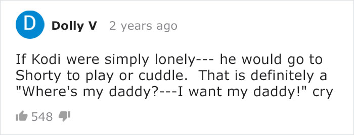 Cat Owner Leaves A Cam To See How His Cats Act When He's Not Home And The Video Is Actually Sad Cat Owner Leaves A Cam To See How His Cats Act When He's Not Home And The Video Is Actually Sad