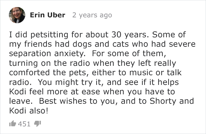 Cat Owner Leaves A Cam To See How His Cats Act When He's Not Home And The Video Is Actually Sad Cat Owner Leaves A Cam To See How His Cats Act When He's Not Home And The Video Is Actually Sad