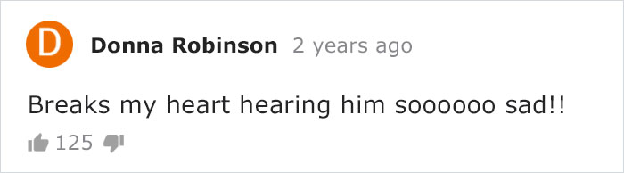 Cat Owner Leaves A Cam To See How His Cats Act When He's Not Home And The Video Is Actually Sad Cat Owner Leaves A Cam To See How His Cats Act When He's Not Home And The Video Is Actually Sad