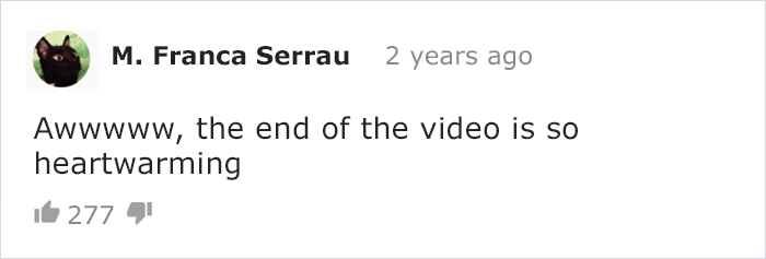 Cat Owner Leaves A Cam To See How His Cats Act When He's Not Home And The Video Is Actually Sad Cat Owner Leaves A Cam To See How His Cats Act When He's Not Home And The Video Is Actually Sad