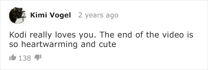 Cat Owner Leaves A Cam To See How His Cats Act When He's Not Home And The Video Is Actually Sad