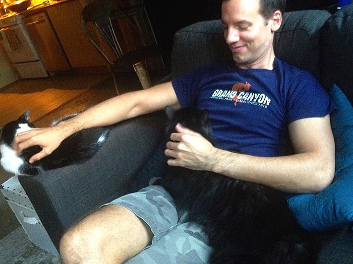 Cat Owner Leaves A Cam To See How His Cats Act When He's Not Home And The Video Is Actually Sad Cat Owner Leaves A Cam To See How His Cats Act When He's Not Home And The Video Is Actually Sad