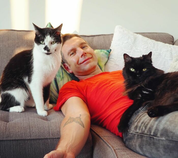 Cat Owner Leaves A Cam To See How His Cats Act When He's Not Home And The Video Is Actually Sad Cat Owner Leaves A Cam To See How His Cats Act When He's Not Home And The Video Is Actually Sad