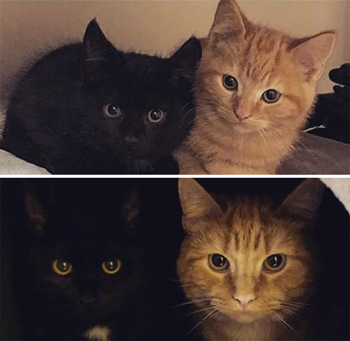 Some Habits Never Change