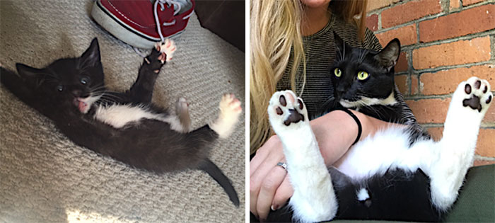 4 Weeks To 4 Years. My Prince, Jaxon