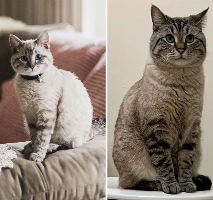 From Four Months To One Year. A Bit Bigger But Still My Little Cutie