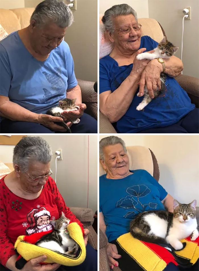 From Kitten To Cat: Grandma Edition. I’ve Been Bringing Axl To Visit Since He Was 4 Weeks Old - He’s 10 Months Now And She’s His Favorite Person