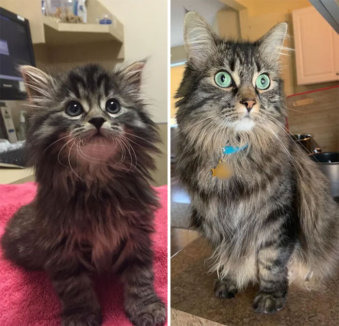 6 Weeks & 6 Years