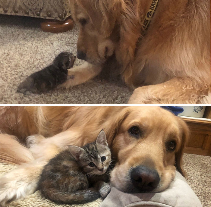 How It Started And How It Is Going. Bestfriends