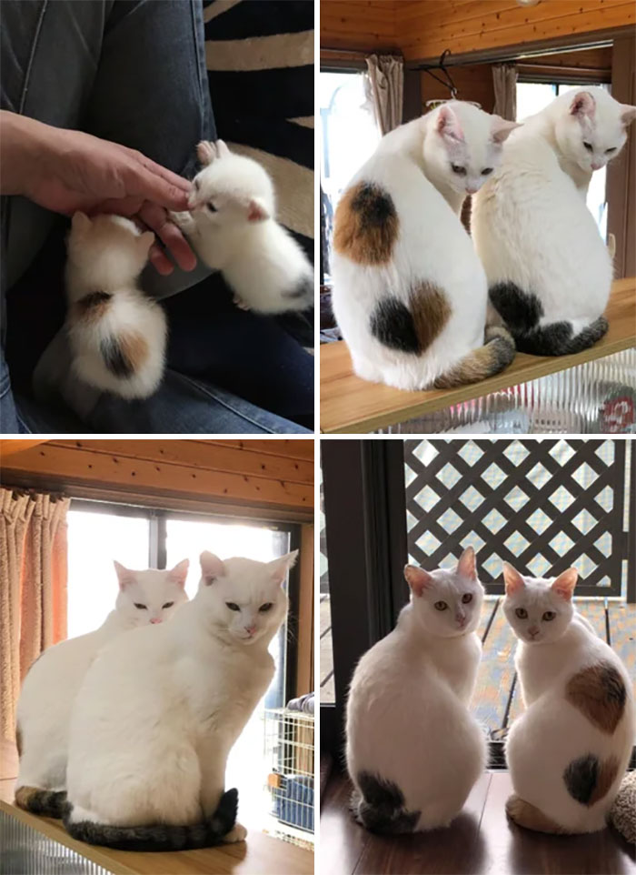 These Two Have Been Twinning Non-Stop Since Birth