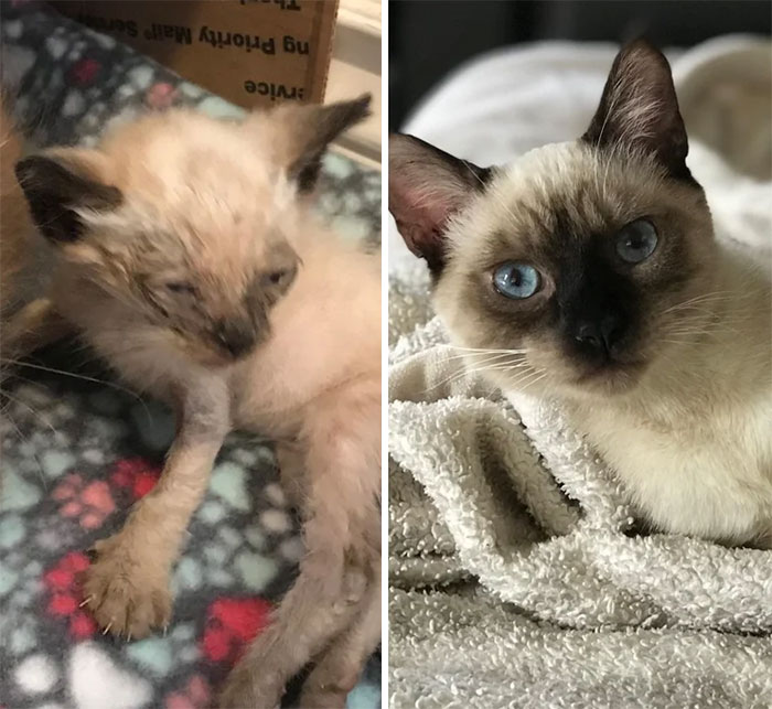 How It Started, How It’s Going. This Is Max