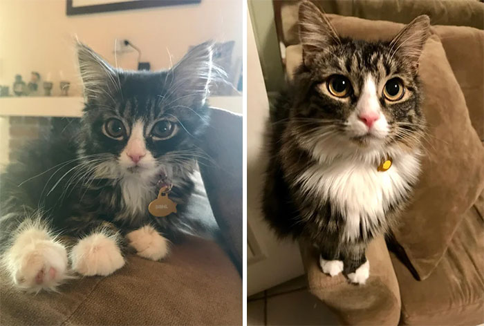 We Thought Izzy Would Grow Into Her Disney Princess Eyes. She Has Not, To Say The Least