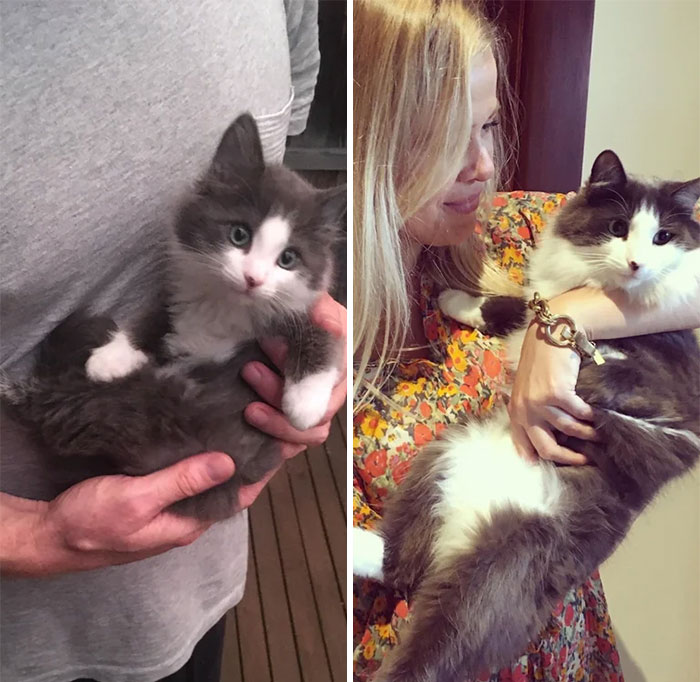 8 Weeks To 18 Months... Nobody Warned Me The Sassyness Grows With Age