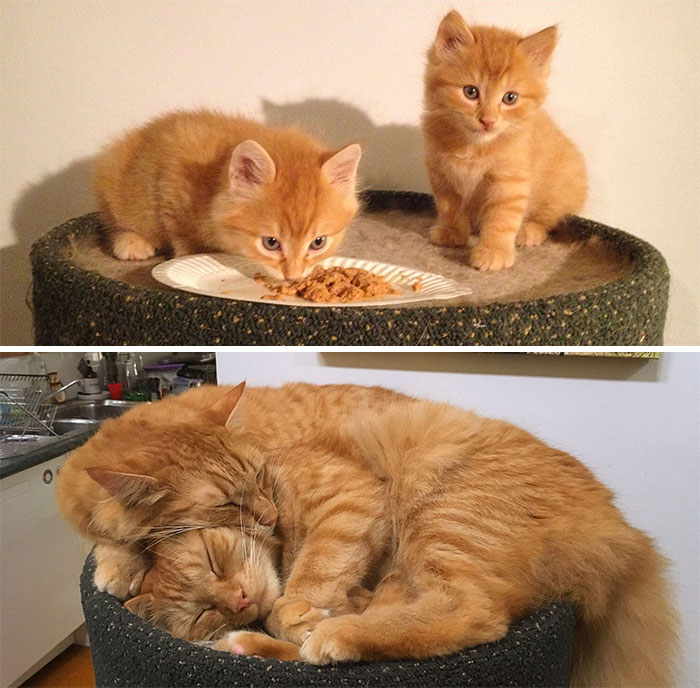 They Grow Up So Fast, Don't They?