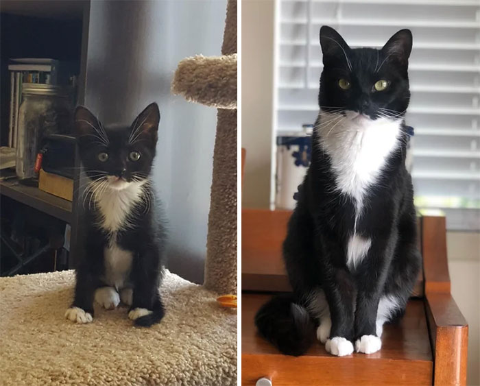 They Grow Up So Fast