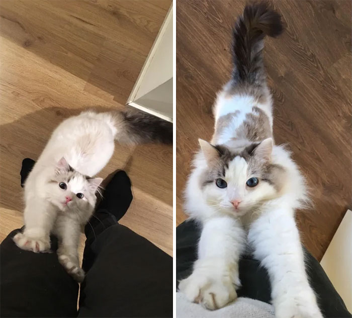 They Grow Up So Fast